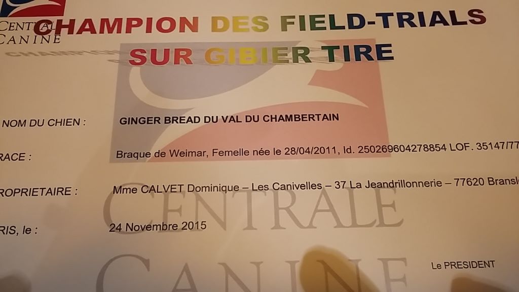 Du Val Du Chambertain - Homologation des 2 titres de champion de GT pour Graf et Ginger