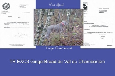Du Val Du Chambertain - C'est officiel