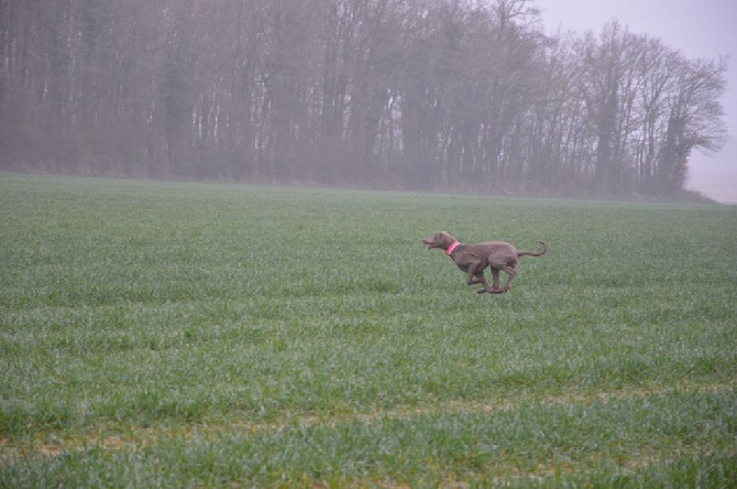 Du Val Du Chambertain - Field d' Escource 1er jour 