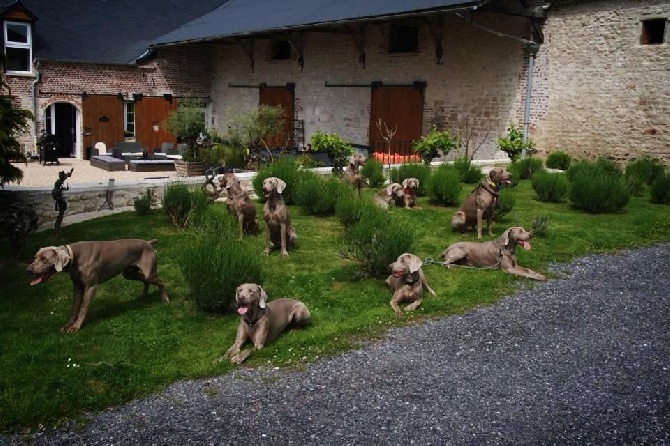 Du Val Du Chambertain - Agréable réunion de famille 